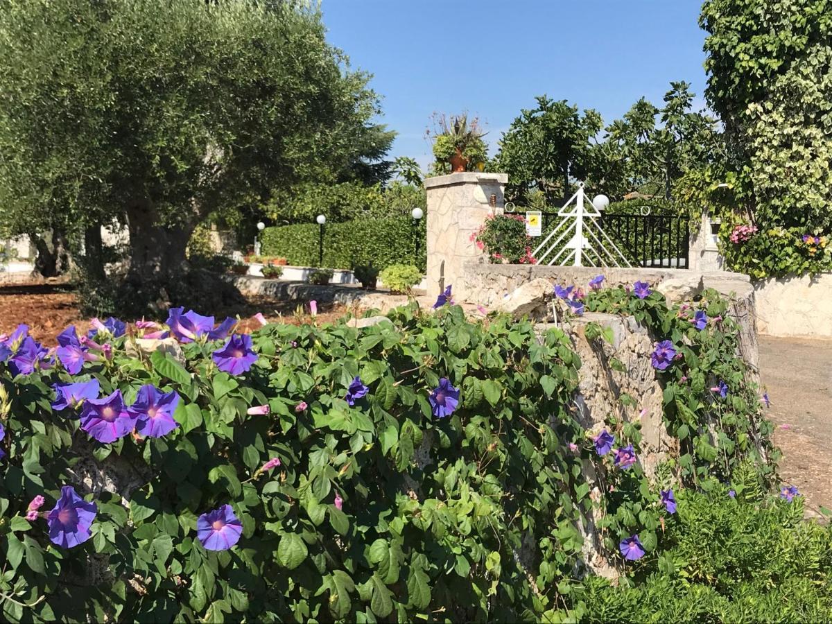 Il Trullo Di Nonno Angelo San Marco Hotel Локоротондо Екстериор снимка