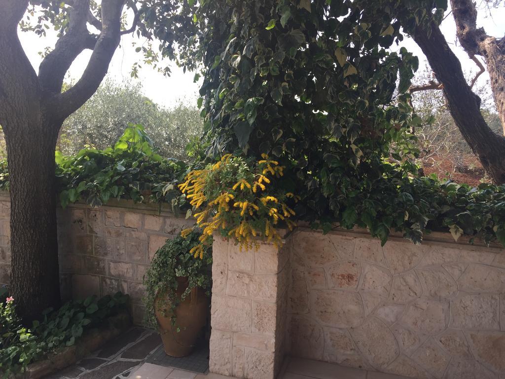Il Trullo Di Nonno Angelo San Marco Hotel Локоротондо Екстериор снимка