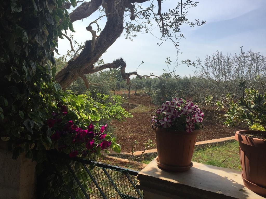 Il Trullo Di Nonno Angelo San Marco Hotel Локоротондо Екстериор снимка