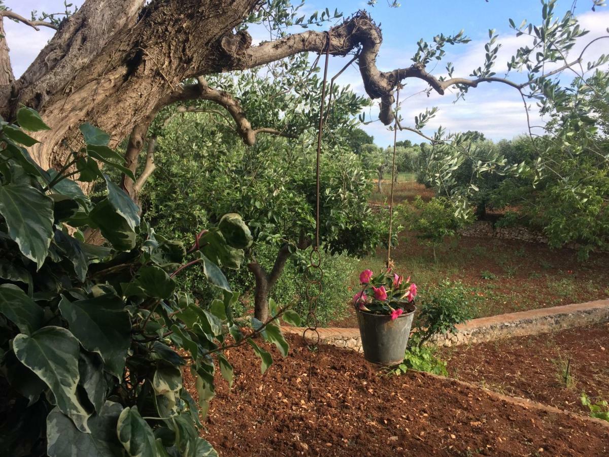 Il Trullo Di Nonno Angelo San Marco Hotel Локоротондо Екстериор снимка